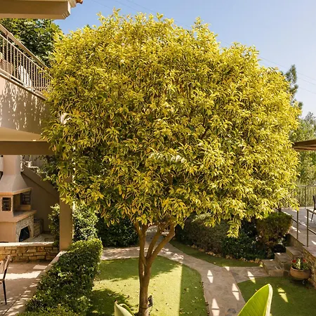 Apartmanhotel Paramithenio Village & 4*
